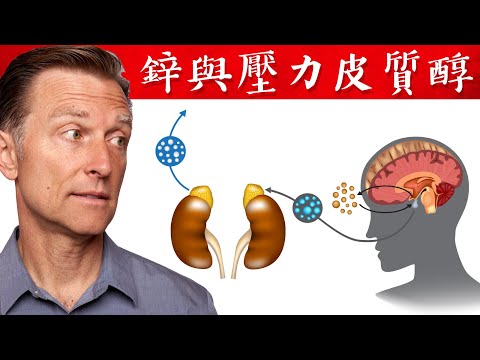 發炎吃多少鋅?鋅降壓力激素,鋅體內儲存多久？鋅太多有毒?柏格醫生 Dr Berg