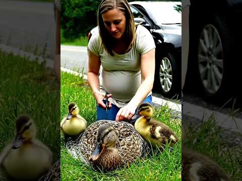 Would you stop to save her? #Shorts