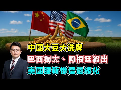 中國大豆大洗牌！巴西份額獨大，阿根廷殺出重圍，美國腰斬慘遭邊緣化！【加持經濟學 EP19】