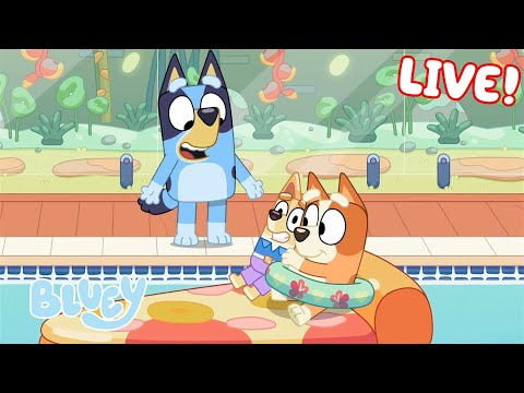 🔴 LIVE: Weihnachten in Australien! | Ganze Folgen | Bluey