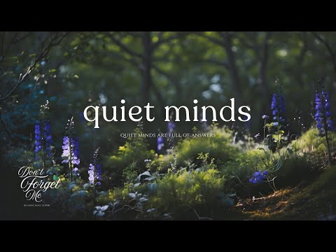 Quiet Minds are Full of Answers 🪻🌿 Relaxing Guitar Music for Sleep, Study & Inner Peace