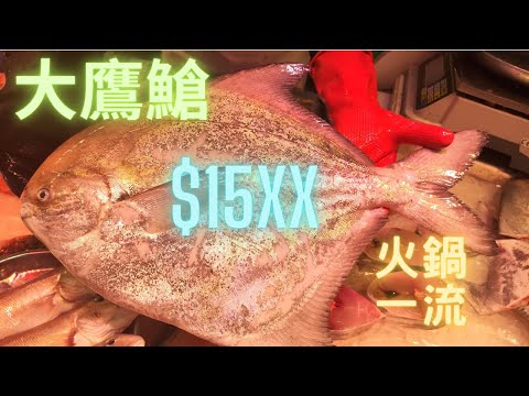 大鷹䱽/斗鯧😍4斤6齊鱗超靚👍火鍋一流,爽香甜油🎊~fishcutting香港海鮮~社長遊街市Seafood