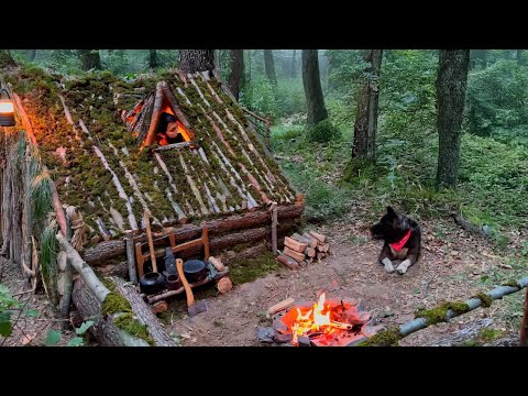 3 Days SOLO SURVIVAL CAMPING; Building Warm BUSHCRAFT SHELTER. Cooking in MUD. TREE HOUSE