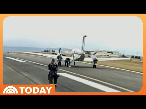 Small Plane Makes Safe Emergency Landing With Autoland