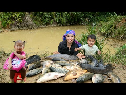 How to catch fish from a fish pond, catching giant fish to sell - cooking with my little daughter