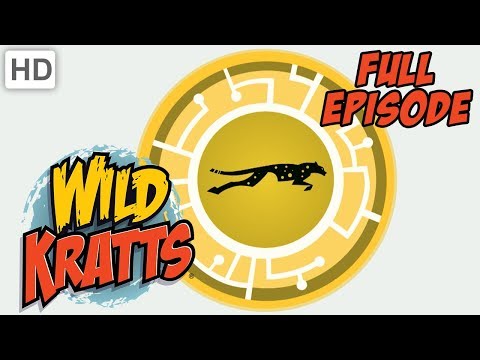 Wild Kratts - The Amazing Creature Race (Full Episode)