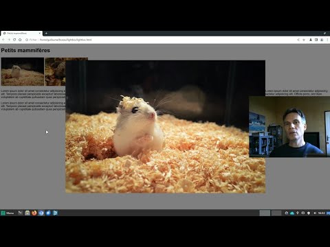 Galerie avec effet Lightbox en JavaScript et CSS