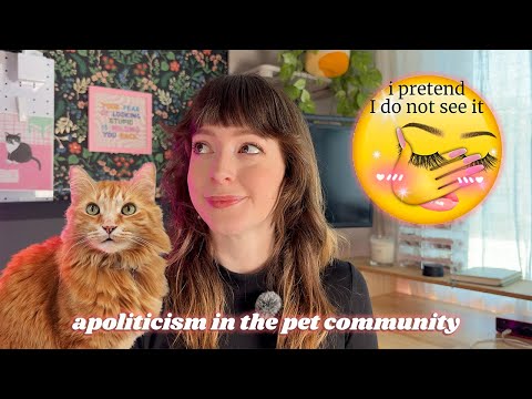 Apoliticism in the Pet Community: How Petfluencers Can Create Safer Spaces