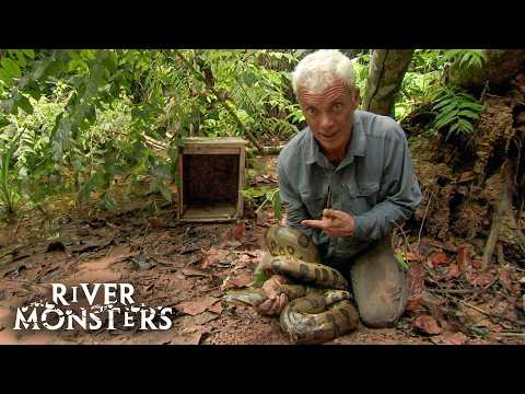 Jeremy Wade's SCARIEST Encounters with DEADLY ANIMALS | River Monsters (Part 2)