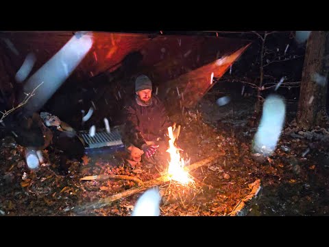Snowy Night of Camping in the Appalachians with Doug - Tarp Shelter & Steak