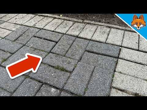 Abgesackte Pflastersteine begradigen💥(Schnell, einfach OHNE viel Werkzeug)🤯
