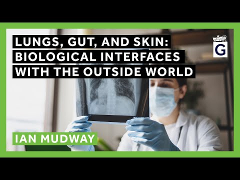 Lungs, Gut, and Skin: Biological Interfaces with the Outside World