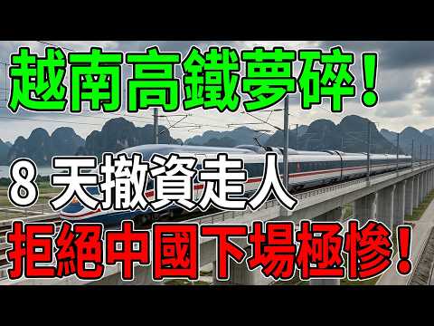 越南首富閃電撤資！南北高鐵「8天夢碎」背後隱藏的驚人真相：一場輸不起的國運豪賭？ #越南高鐵 #範日旺 #基建陷阱 #東南亞經濟 #國運豪賭