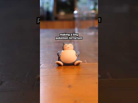 a tiny Pokémon terrarium