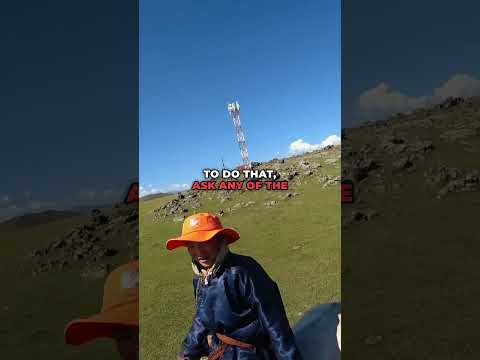 Want to buy a horse in Mongolia? 🇲🇳 Check my video and see for yourself how we did it #travelvlog