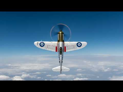 The Bulldog With Wings