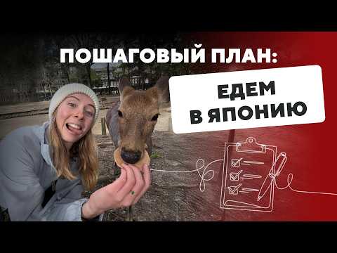 ЯПОНИЯ 2025. Как организовать путешествие самостоятельно. Маршрут, отели, еда, виза, транспорт