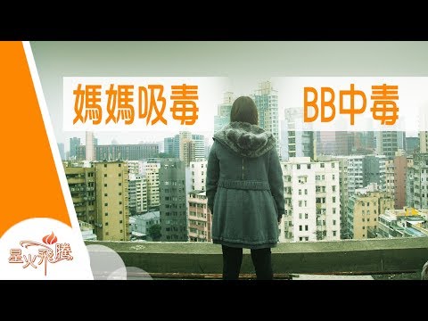 【生命故事】張𤩑君《毒后媽媽》星火飛騰 449
