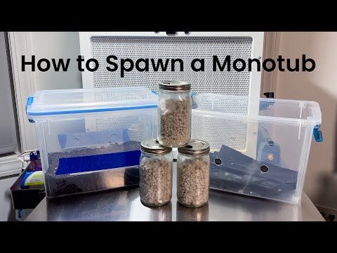 Beginner Guide - Modified Monotub Setup for MAXIMUM Mushroom Yield