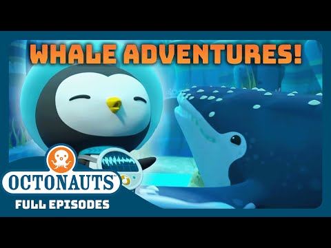 @Octonauts - 🤿 Incredible Whale Adventures 🐋 | World Whale Day | 90 Mins+ Full Episodes Marathon