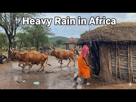 Heavy Rain in an African Traditional Homestead/Homemade Goats  soup for this Cold Weather