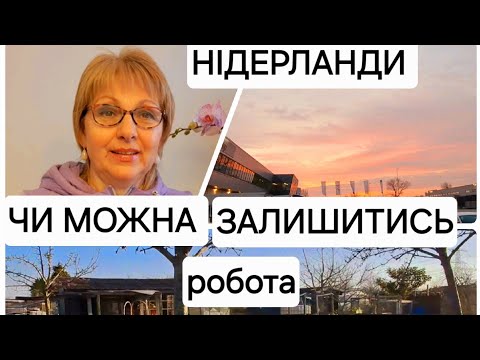 Нідерланди Чи можна залишитись? Про роботу і зарплати #українцізакордоном #нідерланди