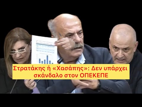 Ο “χασάπης” στην εξεταστική ΟΠΕΚΕΠΕ: κουμπάρος Βορίδη, λαχεία και άρνηση σκανδάλου