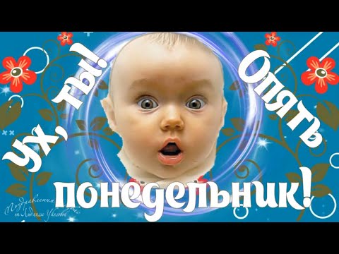 🌺☕️Ух, ты, опять понедельник! Доброе утро понедельника! Удачной недели! Утренний позитив для друзей!