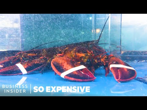 Why Lobster Is So Expensive | So Expensive