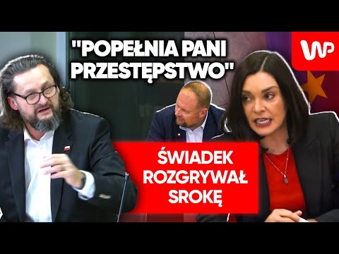 "Popełnia pani przestępstwo". Sroka oburzona. Świadek komisji wyprowadził ją z równowagi