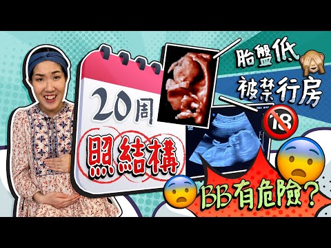 【照結構過程👶🏻】懷孕3個月後冇性生活🈲？胎盤低有危險？胎兒打喊露！2D 3D 4D分別　產檢流程｜產檢超音波｜產檢超聲波｜胎盤前置　《跟住小編做媽咪》