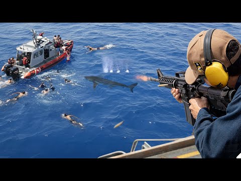 How US Sailors Protect Themselves From Scary Shark Attacks During Swim Call