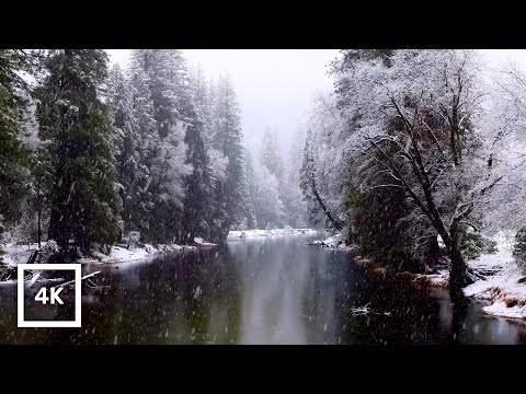 4K UHD Snowy Merced River | Yosemite National Park in Winter | Nature Sounds for Sleep and Relax