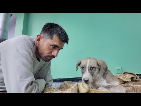 چرا تو و چرا من…؟