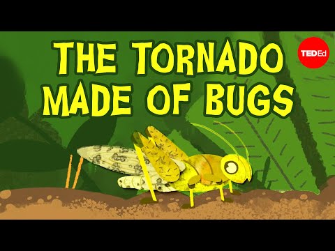 Just add water: The garden insect that can turn into a plague - Jeffrey A. Lockwood