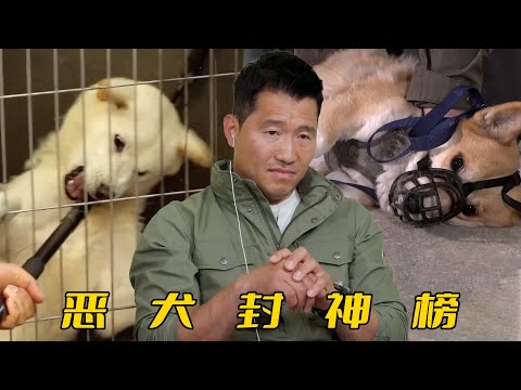 【限制合集】天生壞種實在難訓，不行安樂死吧（結尾預告更精彩）