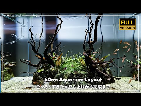 HOW TO BUILD A BEAUTIFUL AQUASCAPE - An underwater oasis -