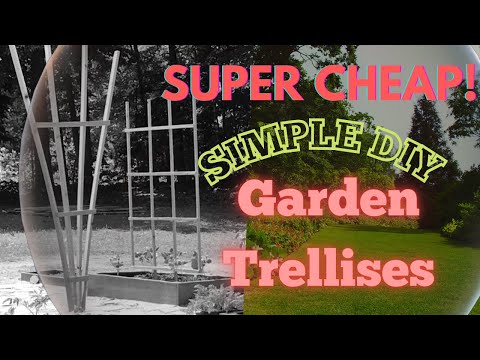 #diyproject Climbing garden trellis CHEAP