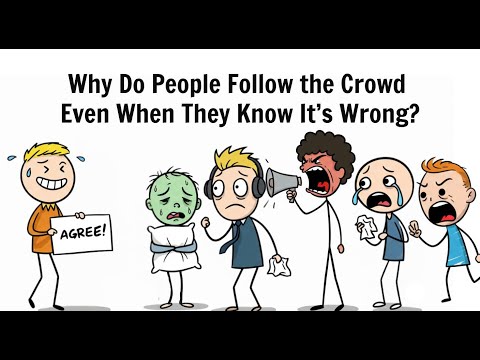 Why We Obey the Group Even When It’s Wrong?