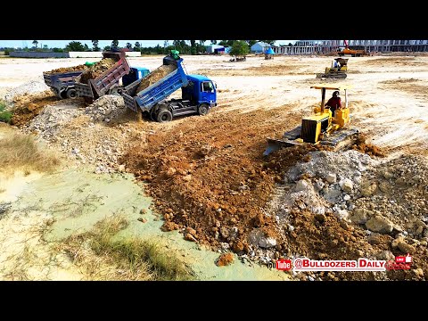 Bulldozer D31P in Action! Land Clearing & Dump Truck Unloading for New Village Build