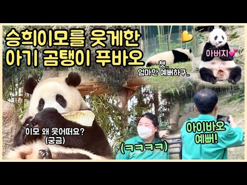 [ep.107] 할부지는 왜 엄마만 좋아해요?!?? 쳇! 푸바오 삐!짐!🤣/ 푸바오 보고 결국 현웃터진 승희이모💕/ 꿀렁거리는 러바오 배쨜~/ 에버랜드 판다월드