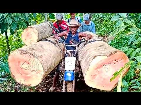 Так работают только настоящие профи: невероятная подборка мастерства