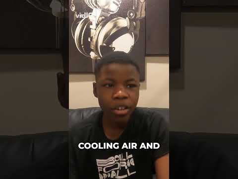 this phone is a mini pc!