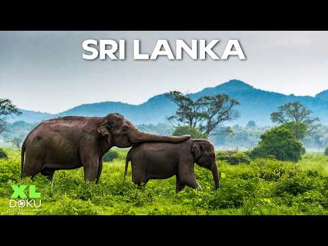 Sri Lanka: Die schönste Insel unserer Erde? | Doku | XL Doku Deutschland