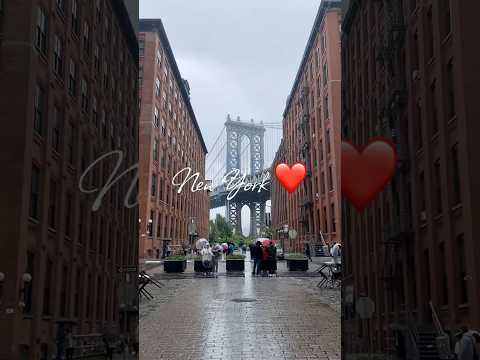 Inside the Insane Reality of New York City