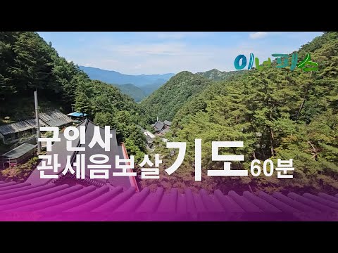 #관세음보살  구인사