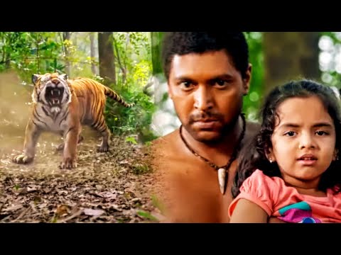 बच्ची की शिकार करने आया शेर हीरो के हाथो खुद ही शिकार बन गया