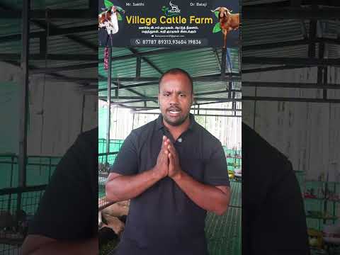 ஆடு வளர்ப்பு லாபமா நஷ்டமா, ஆடு தேர்வு செய்வது எப்படி, நோய்&தீவன மேலாண்மை, விற்பனை செய்வது எப்படி