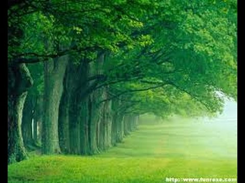 Хочи Мирзо-ам-029 Хазрати Иброхима 1