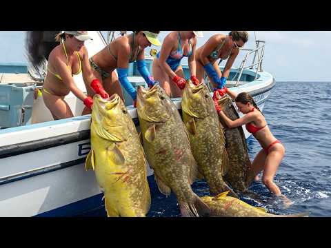 How Fishermen Caught Massive Fish in Bulk and Made Millions - Fishing Documentary